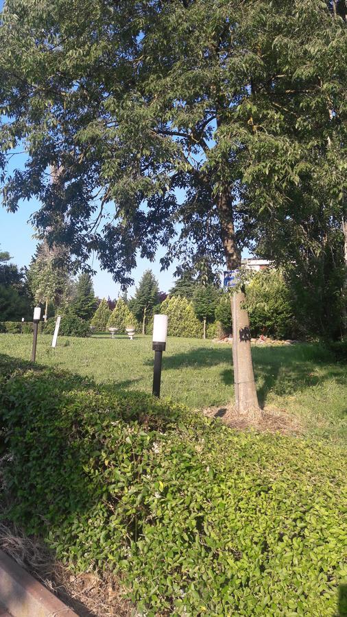 Hotel Parigi Castel San Pietro Terme Eksteriør billede